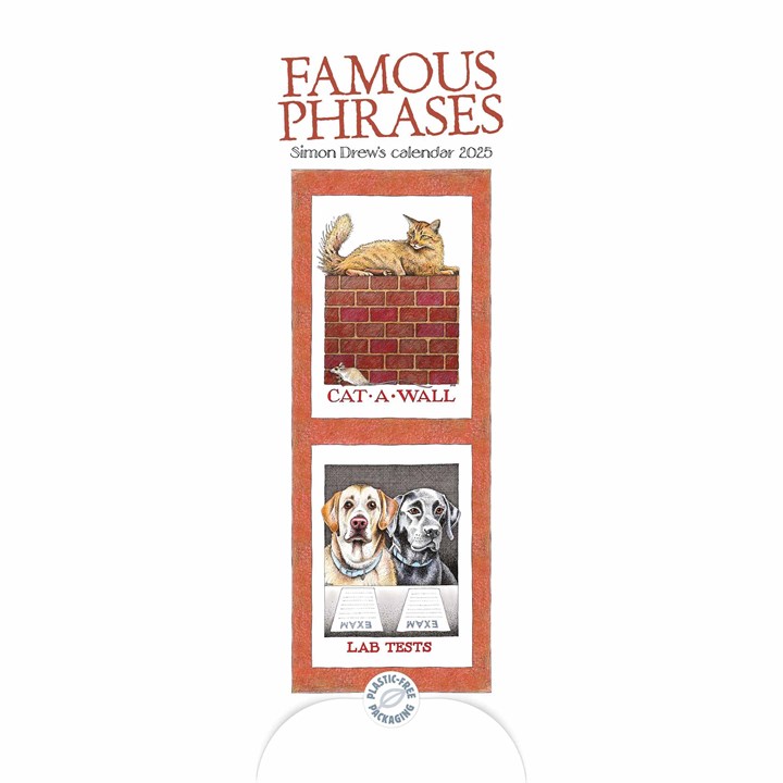 Simon Drew's Famous Phrases Slim Calendar 2025