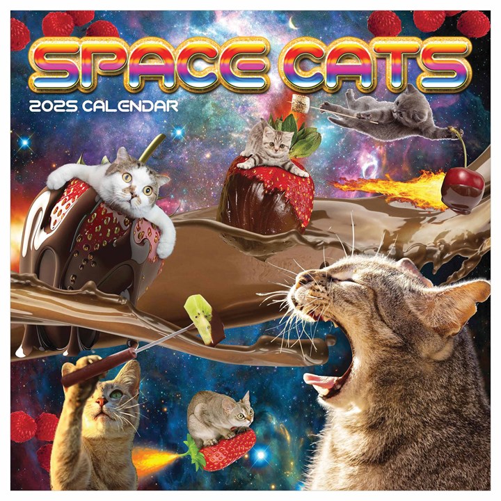 Space Cats Calendar 2025