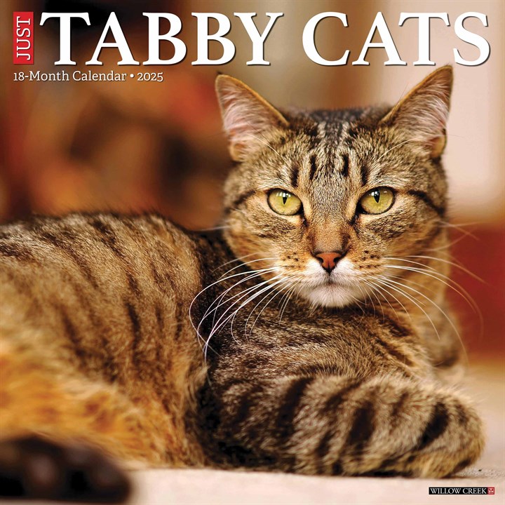 Just Tabby Cats Calendar 2025