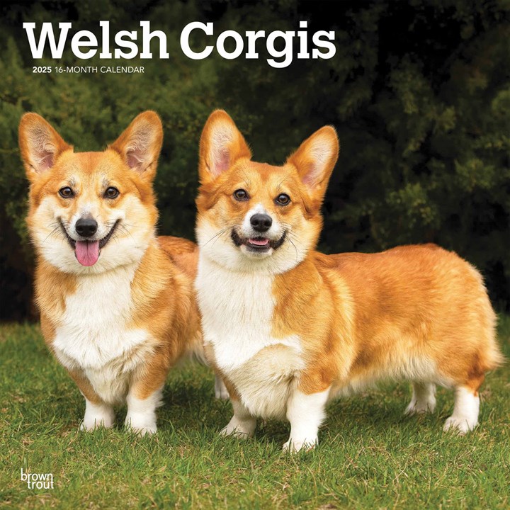 Welsh Calendar 2025