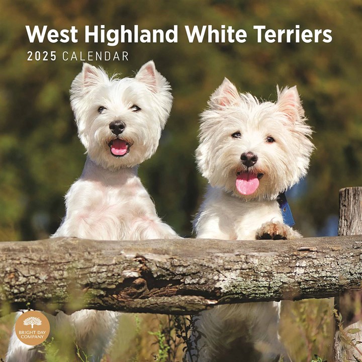 West Highland White Terriers Calendar 2025