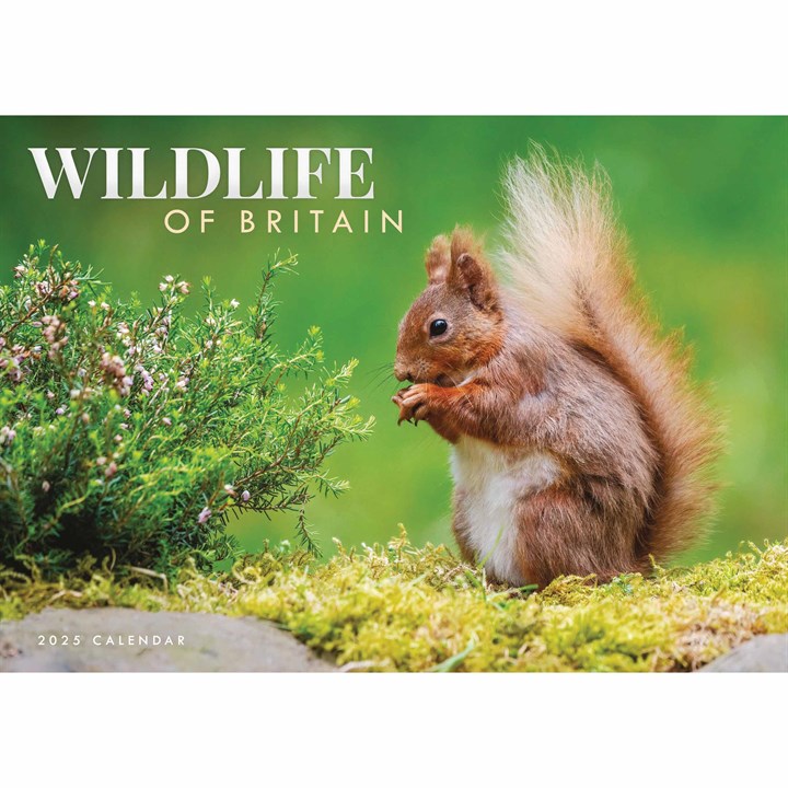 Wildlife Of Britain A4 Calendar 2025
