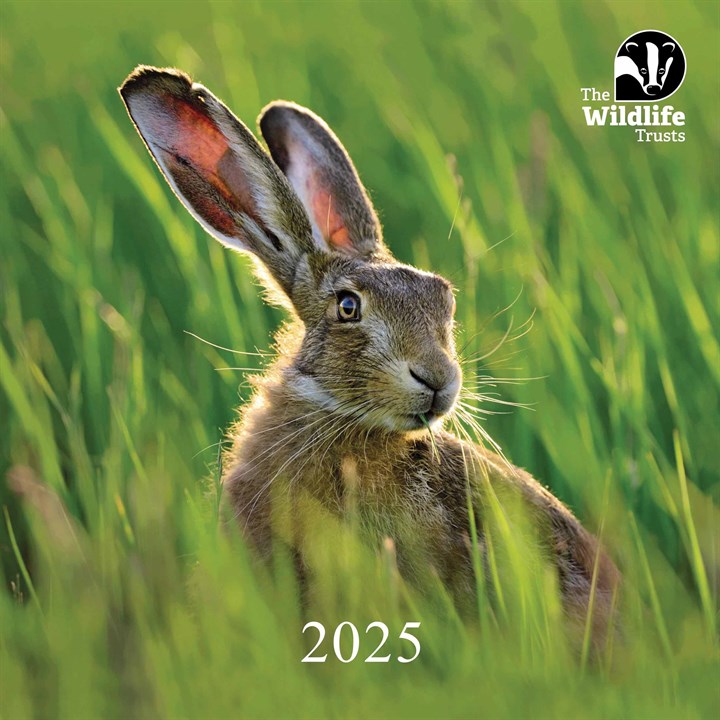 The Wildlife Trusts Calendar 2025