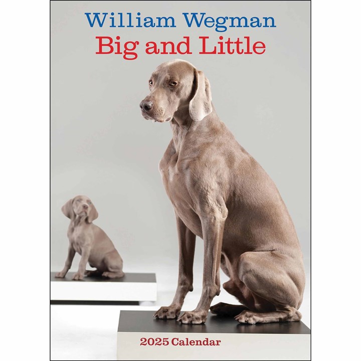 William Wegman, Big and Little Deluxe Calendar 2025