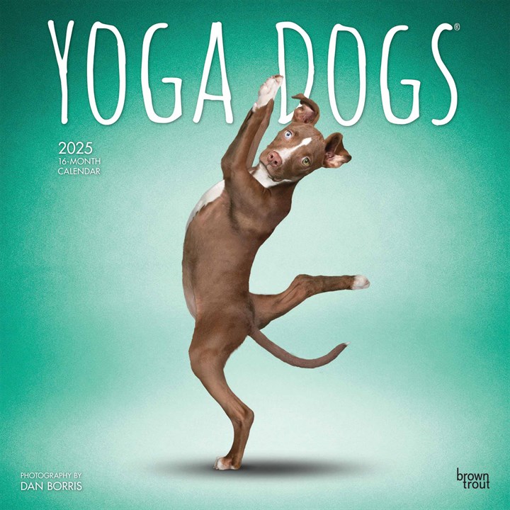 Yoga Dogs Calendar 2025