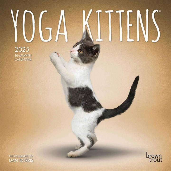 Yoga Kittens Mini Calendar 2025