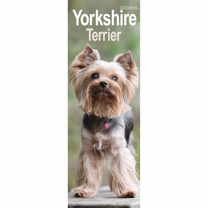 Yorkshire Terrier Slim Calendar 2025