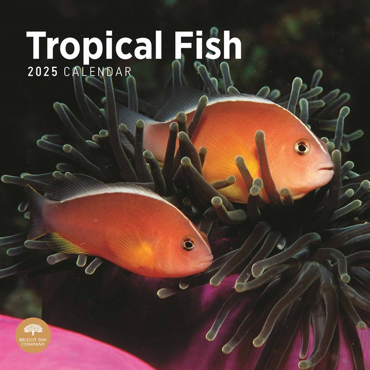 Tropical Fish Calendar 2025