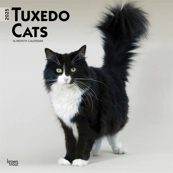 Tuxedo Cats Calendar 2025