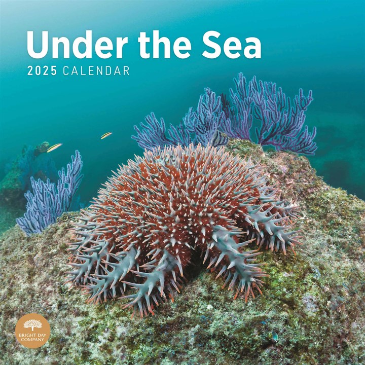 Under The Sea Calendar 2025