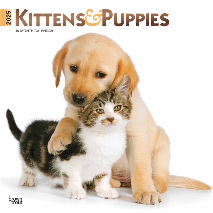 Kittens & Puppies Calendar 2025