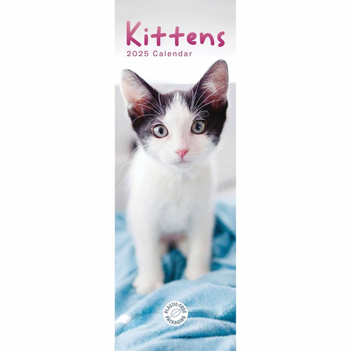 Kittens Slim Calendar 2025