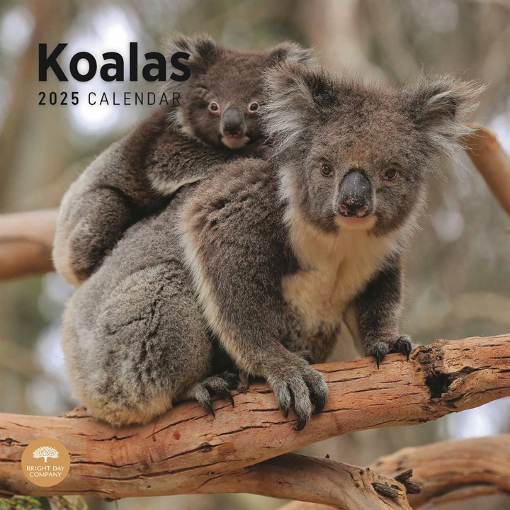 Koalas Calendar 2025