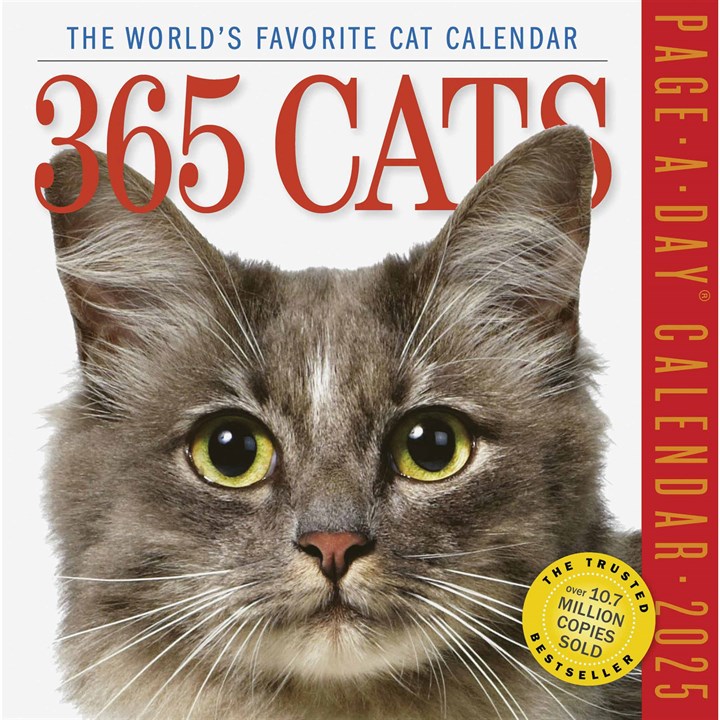 365 Days Of Cats Desk Calendar 2025