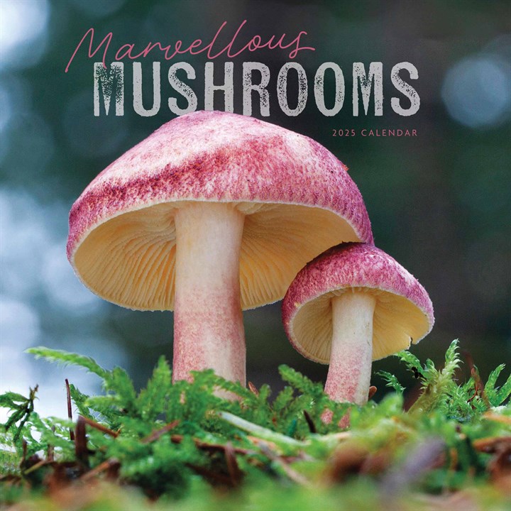 Marvellous Mushrooms Calendar 2025