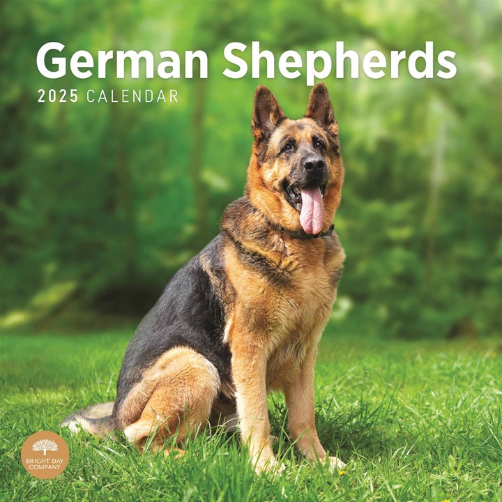 German Shepherds Calendar 2025