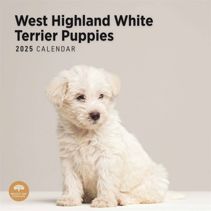 West Highland White Terrier Puppies Calendar 2025