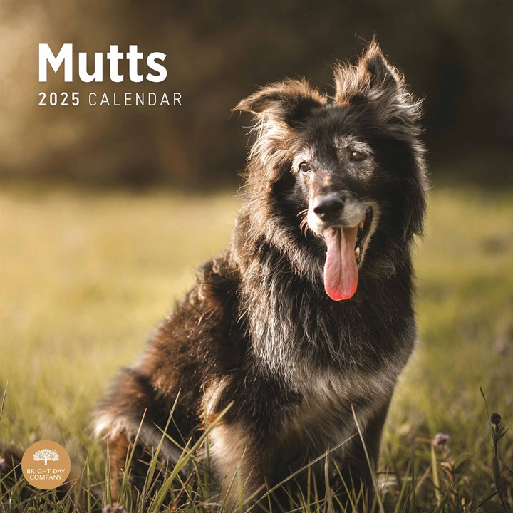 Mutts Calendar 2025