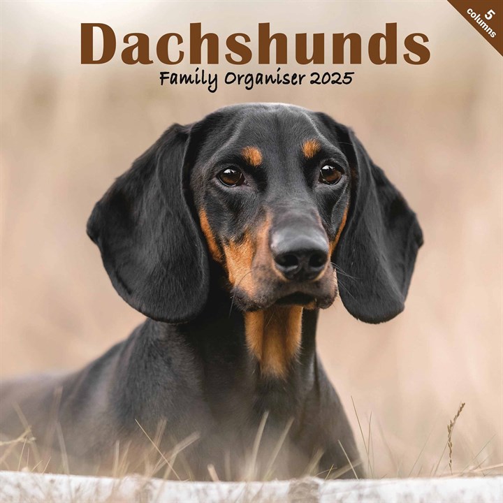 Dachshunds Family Organiser 2025