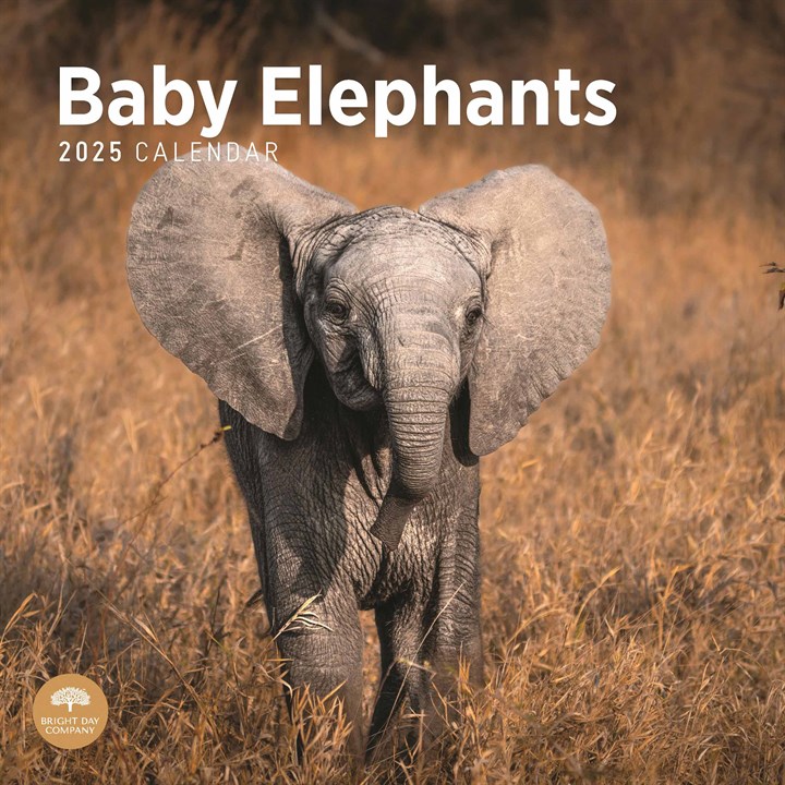 Baby Elephants Calendar 2025