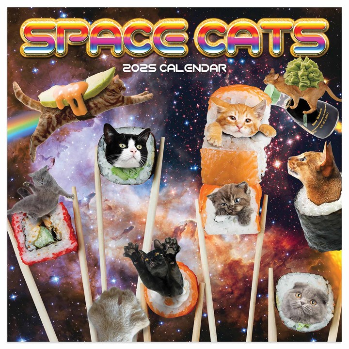 Space Cats Mini Calendar 2025