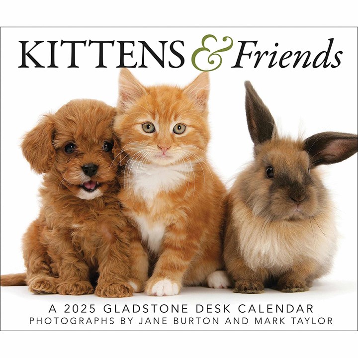 Kittens & Friends Desk Calendar 2025