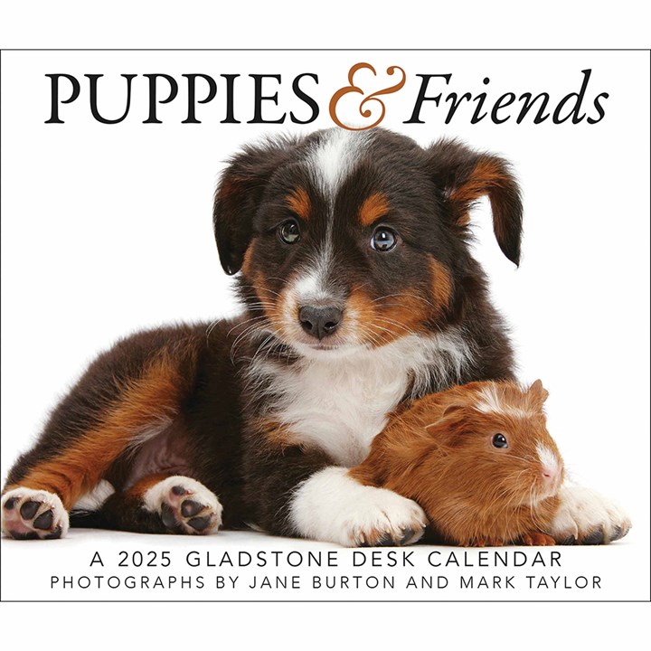 Puppies & Friends Desk Calendar 2025