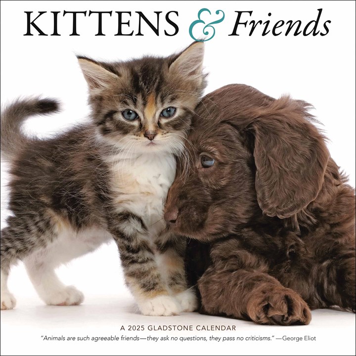 Kittens & Friends Calendar 2025