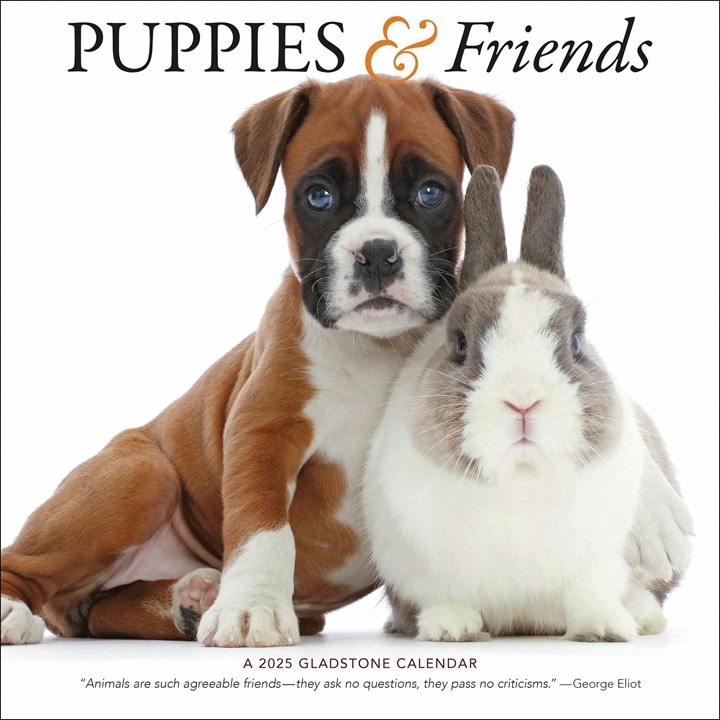 Puppies & Friends Calendar 2025