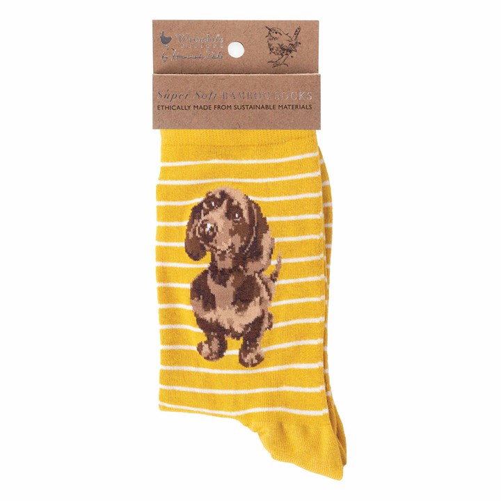 Wrendale Designs, Little One Dachshund Socks - Size 4 - 7