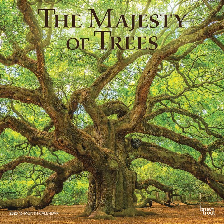 The Majesty of Trees Calendar 2025