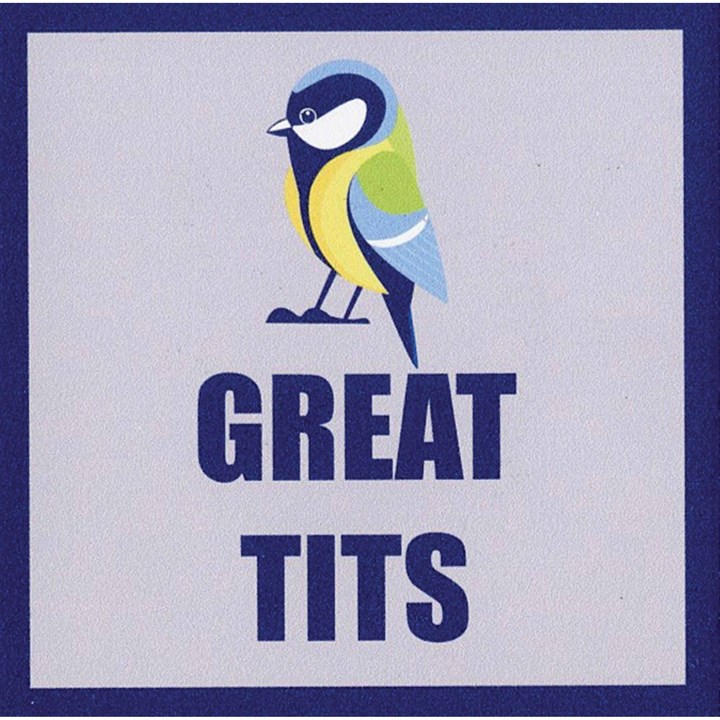 Great Tits Coaster