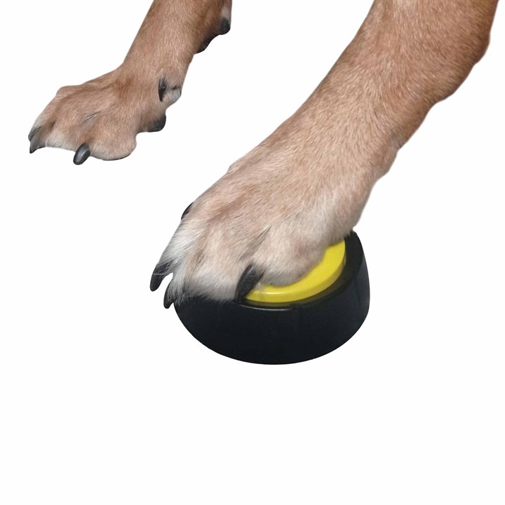 Dog Training Buttons