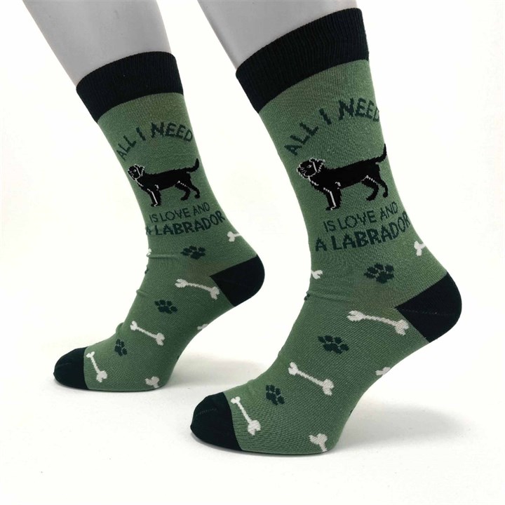 All I Need is Love and a Labrador Socks - Size 7 - 11