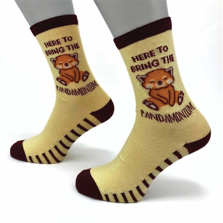 Here to Bring the Pandamonium Socks - Size 4 - 8