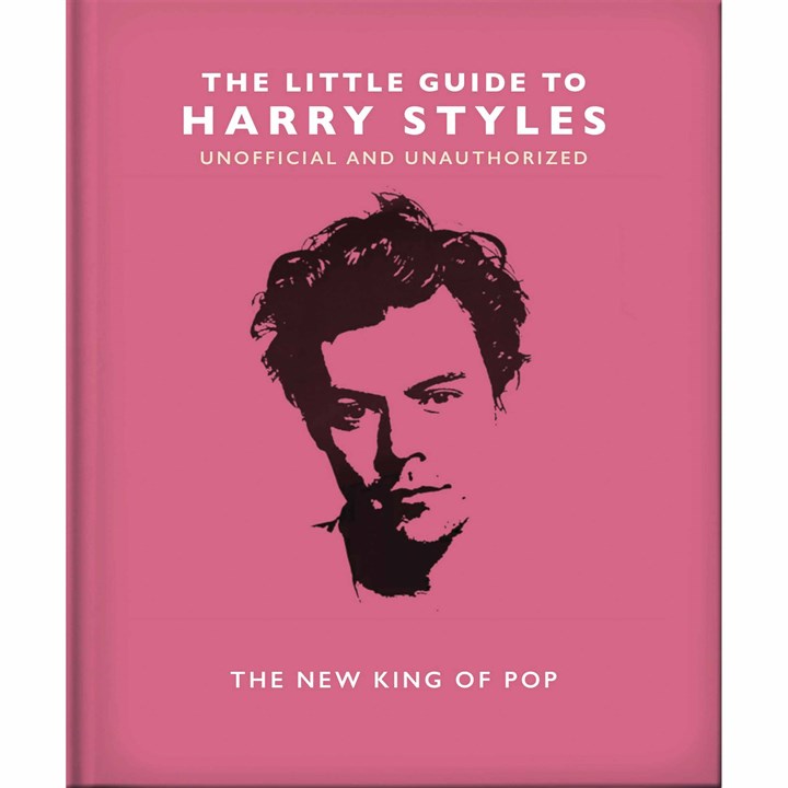 Little Guide To Harry Styles