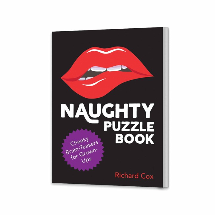 Naughty Puzzle Book