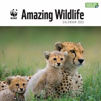 WWF, Natural World Desk Calendar 2023