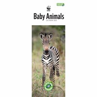 WWF, Natural World Desk Calendar 2023