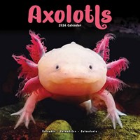 Snoozimals 20 Axolotl Plush