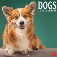 CALENDARIO 2020 SEGNALIBRO DOGS OF THW WORLD