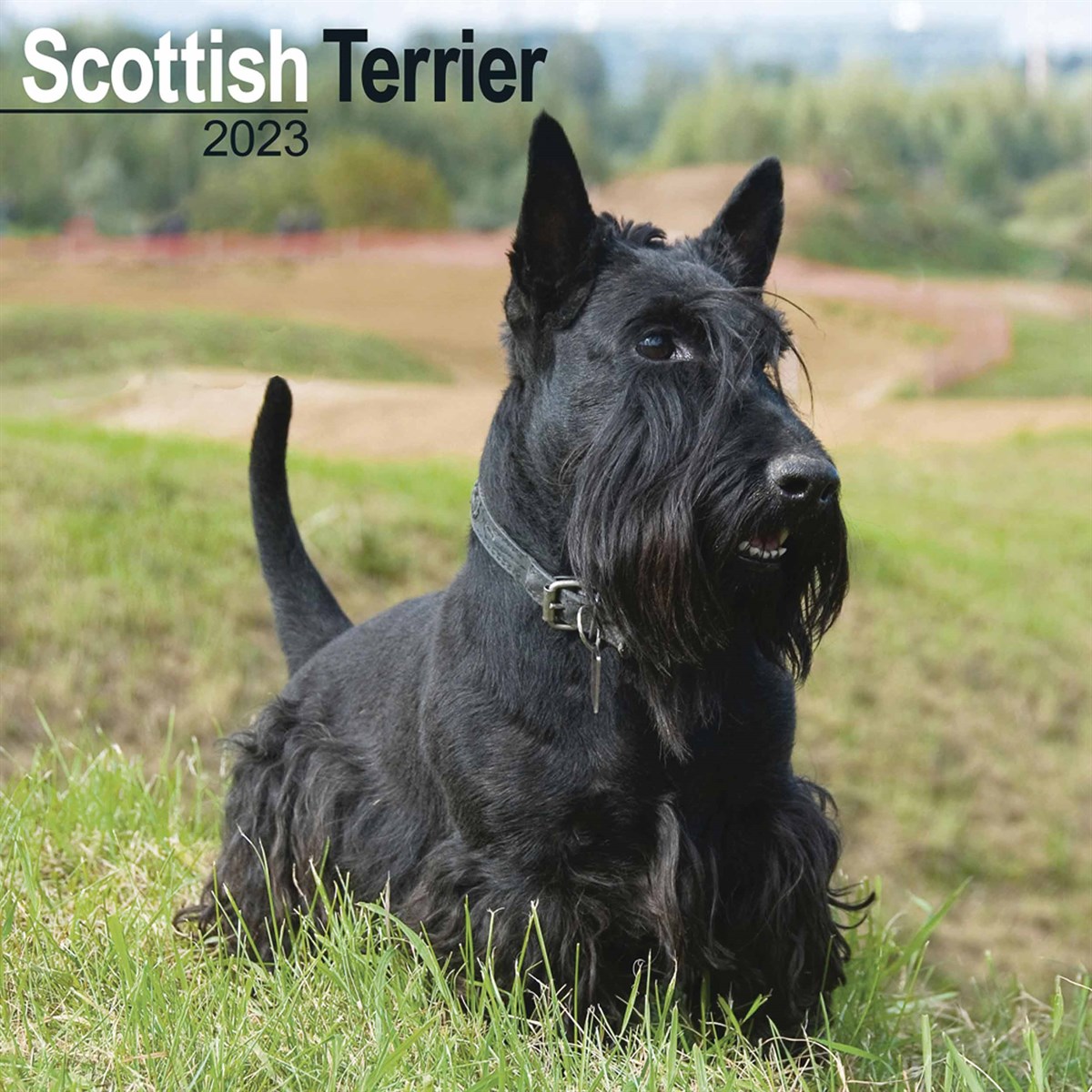 whats the difference between a schnauzer and a scottish terrier