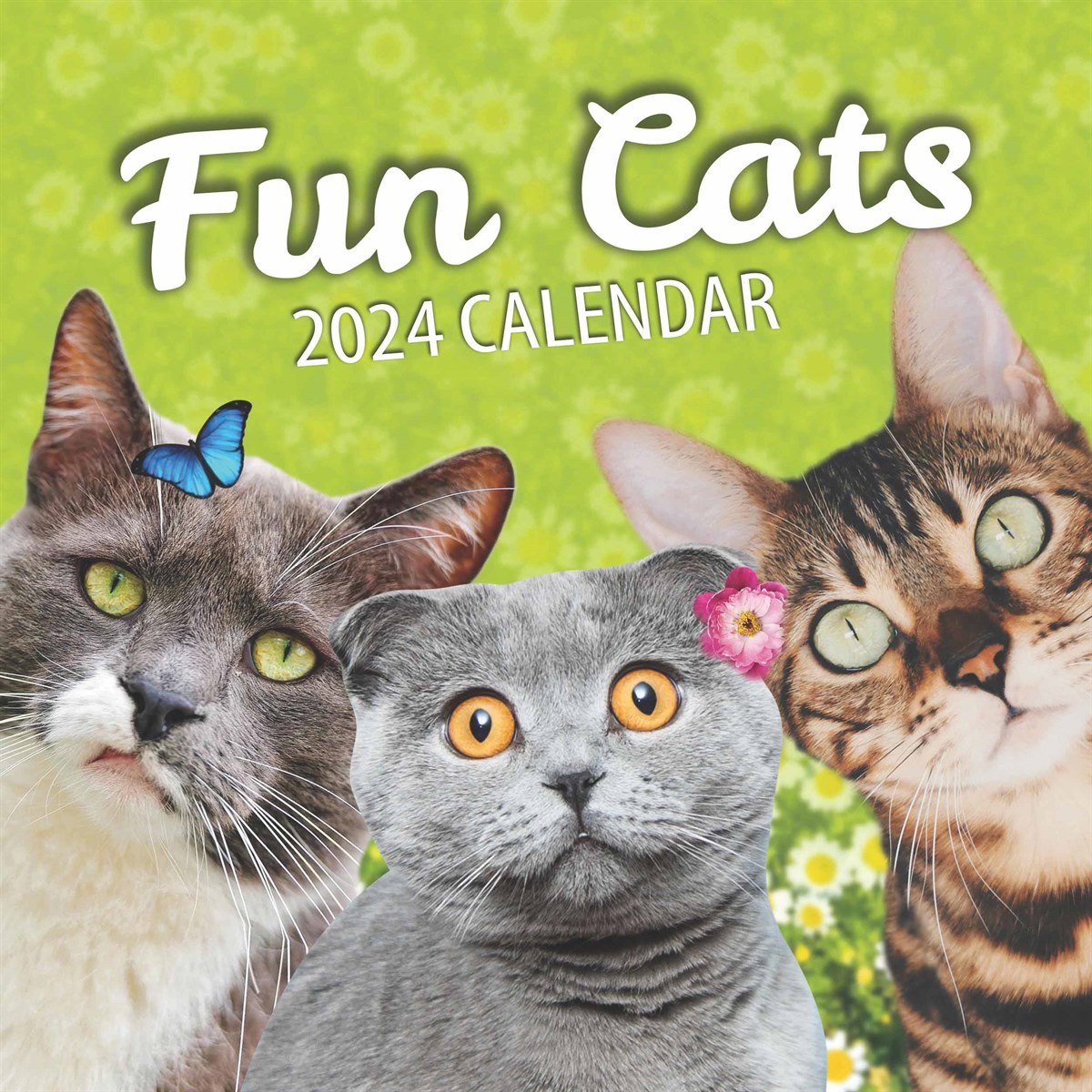 2024 Angry Cat Calendar, Angry Cat Wall Calendar, Funny Wall Art