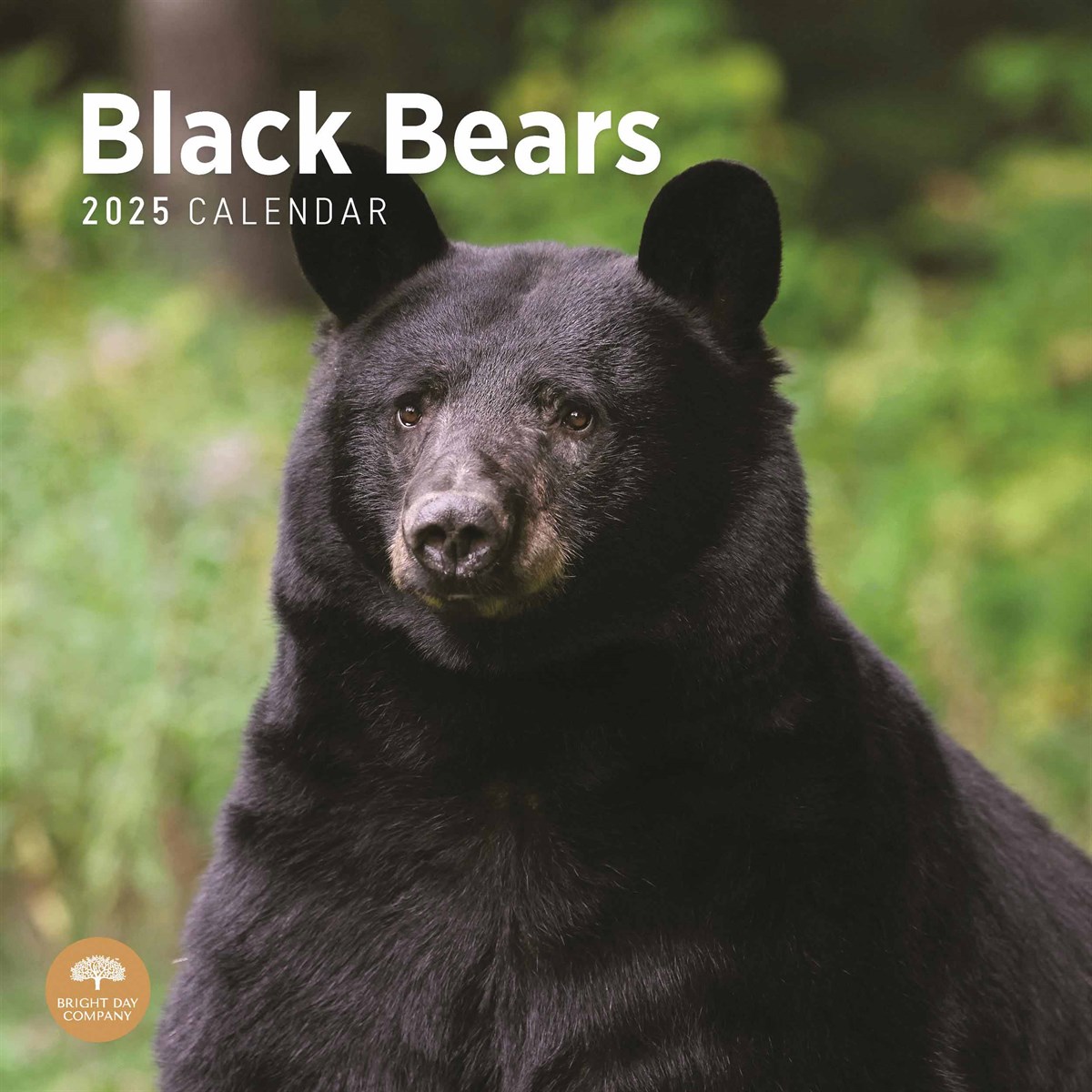 Black Bears Calendar 2025