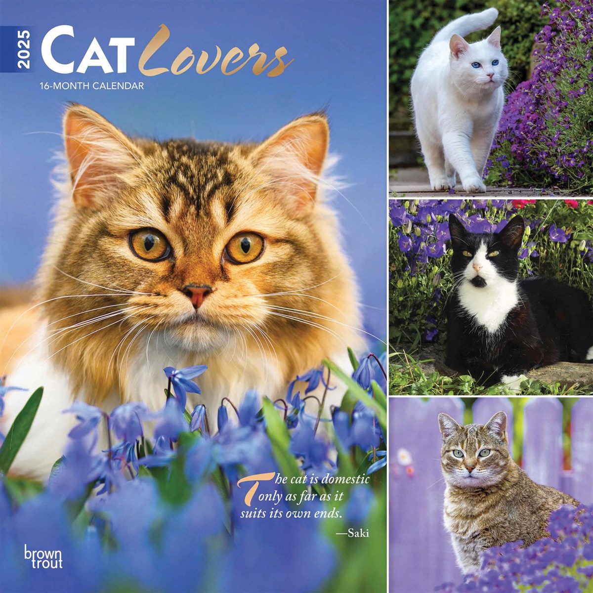 Cat Lovers Calendar 2025