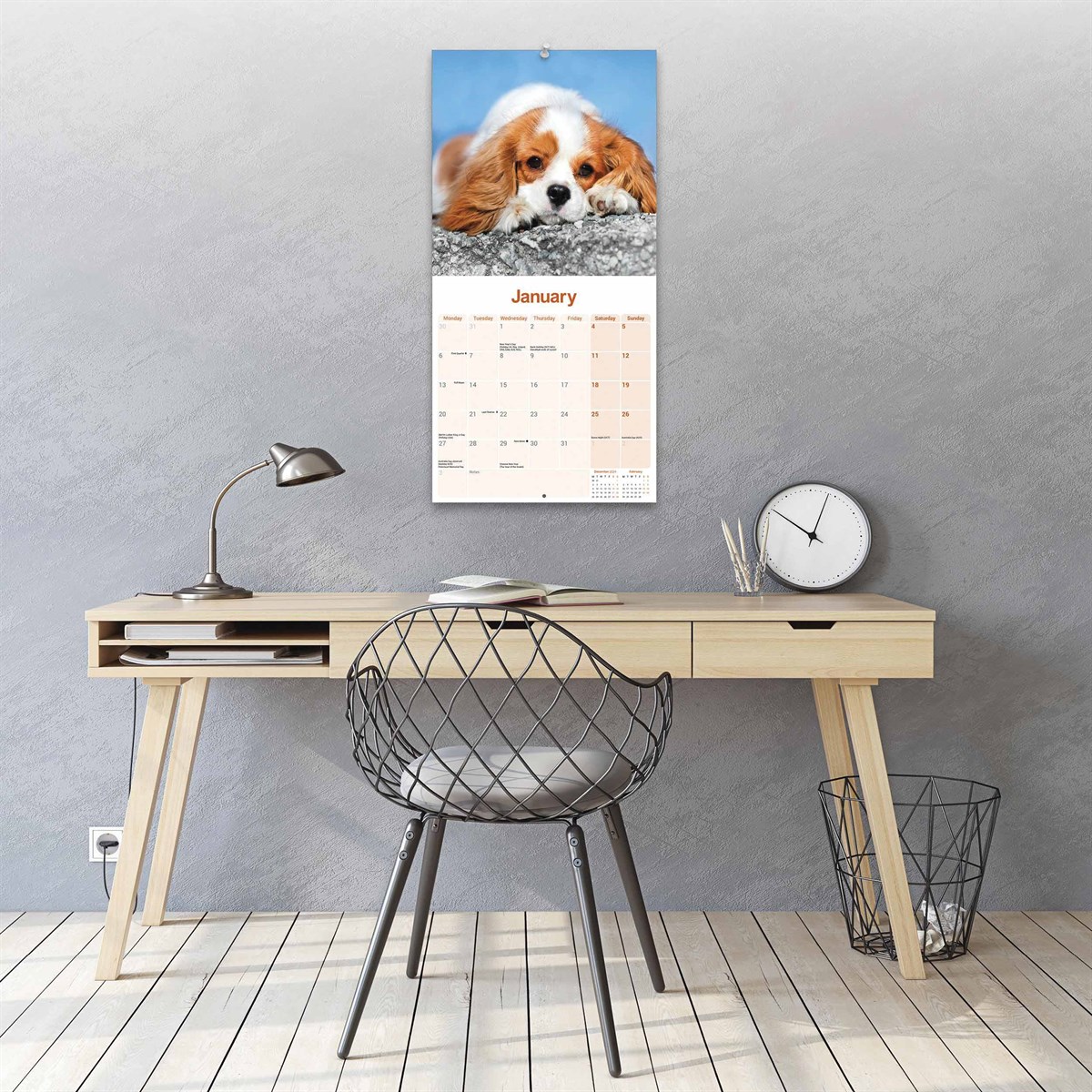 Cavalier King Charles Spaniel 2025 Calendar