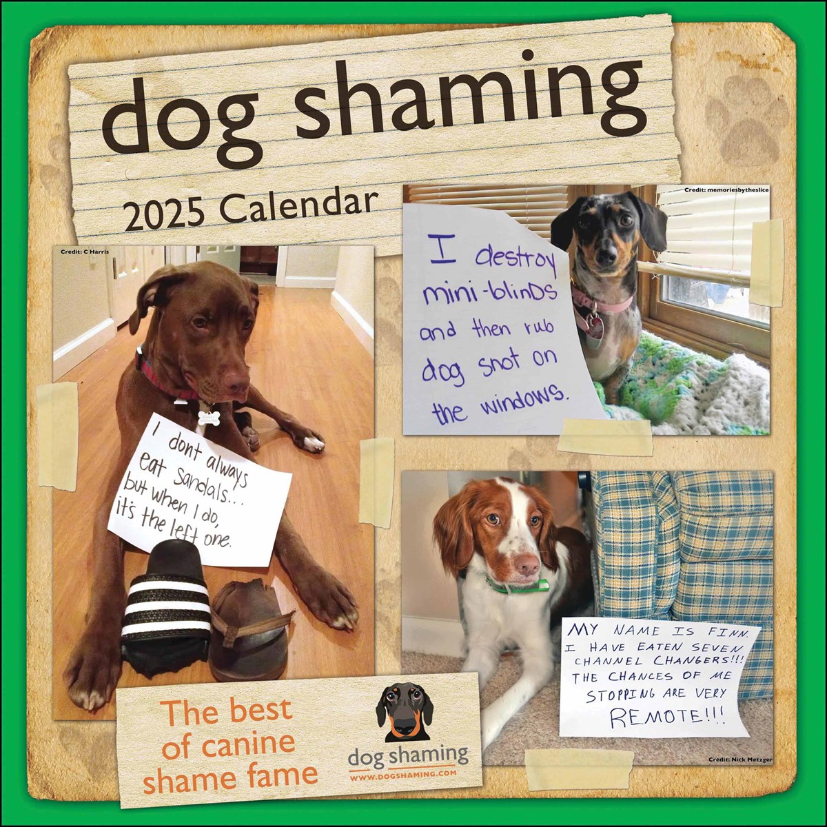 Dog Shaming Calendar 2025