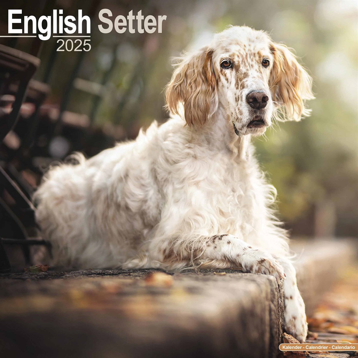 English Setter Calendar 2025