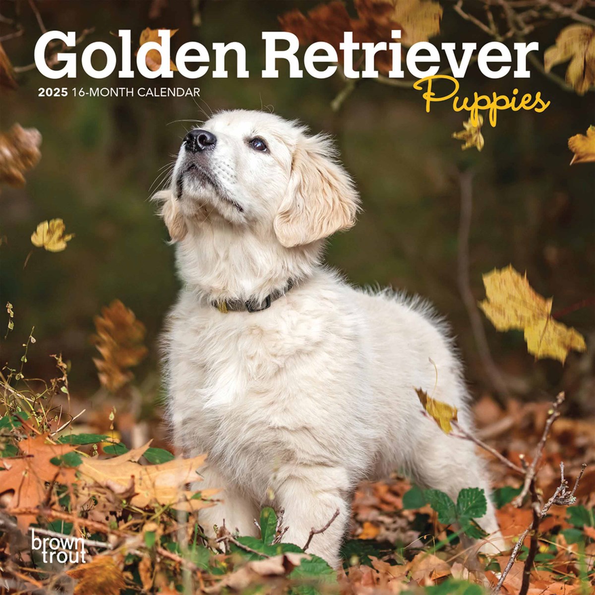 Golden Retriever Puppies Mini Calendar 2025