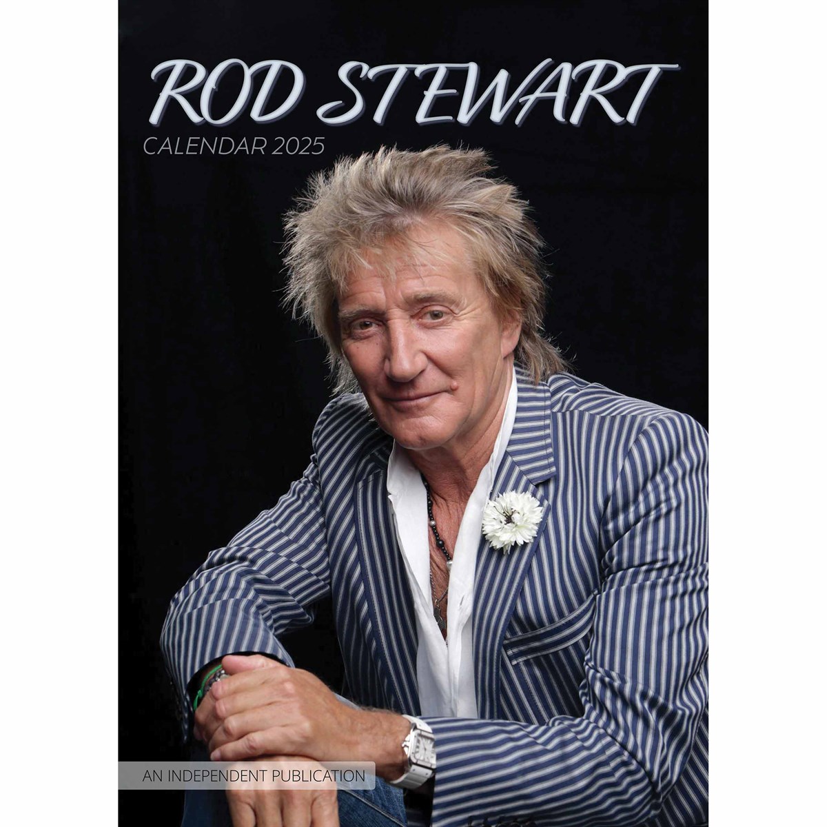 Rod Stewart performing live in 2025